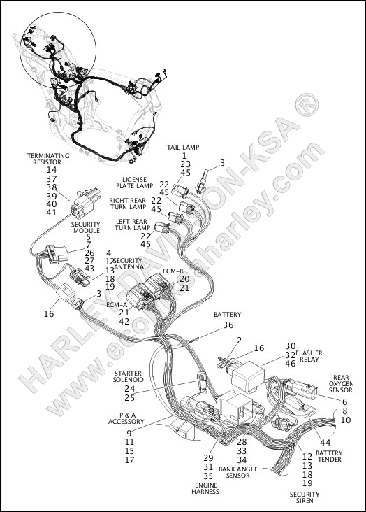 WIRING HARNESS, MAIN NON-ABS - XG750A (REAR UPPER)